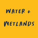 Water &amp; Wetlands